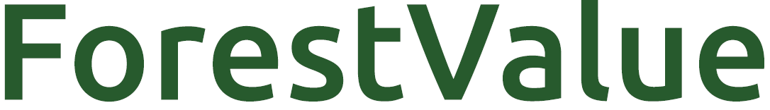 logo ForesValue