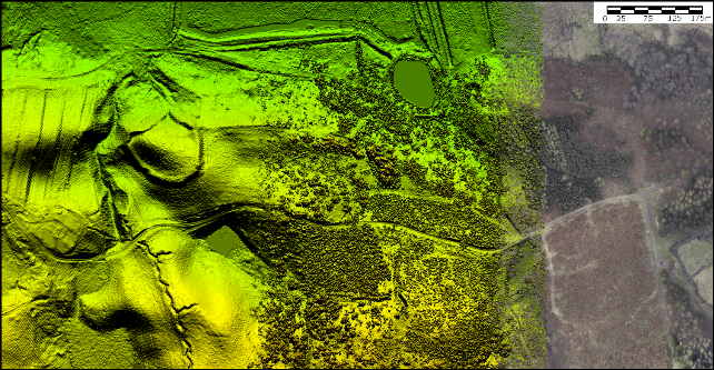Zestawienie numerycznego modelu terenu (z lewej), modelu pokrycia terenu (w środku) i ortofotomapy (z prawej), ukazujące wirtualne oczyszczenie obszaru z drzew. W pobliżu zalesionego w rzeczywistości średniowiecznego grodziska (pierścieniowata forma po lewej) przebiega również ukryta w lesie transzeja z czasów II wojny światowej (ciemny zygzak).
