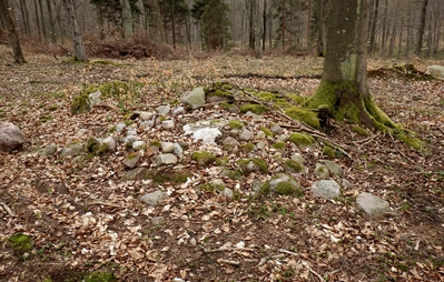 Kilkanaście dużych kamieni na lekkim wzniesieniu terenu w lesie to jeden z rozpoznanych kamiennych kurhanów