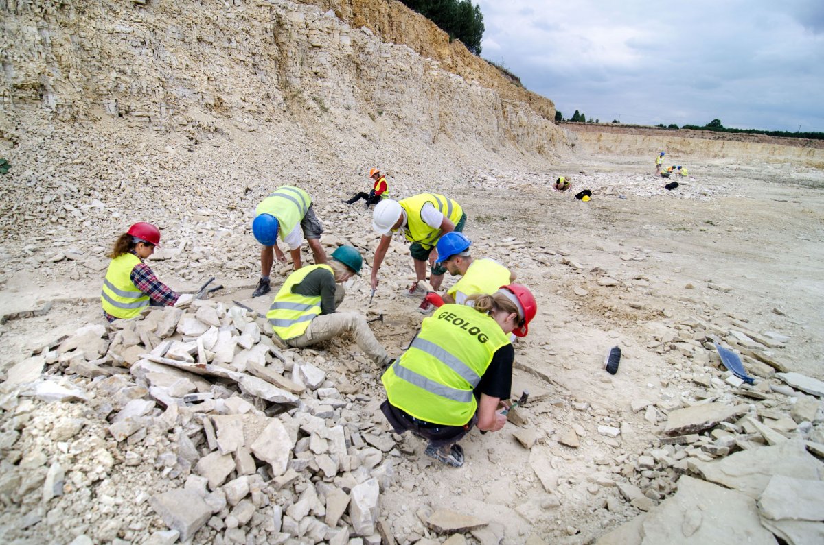 Palaeontological exploration works in the Owadów-Brzezinki quarry. Photo by MAGA Aga Błażejowska.