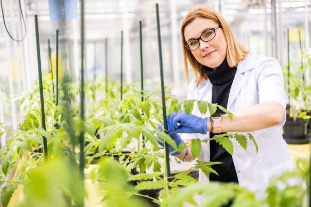 dr hab. Aleksandra Obrępalska-Stęplowska, fot. Michał Łepecki