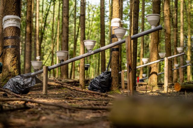 Dr hab. inż. Anna Ilek, fot. Łukasz Bera