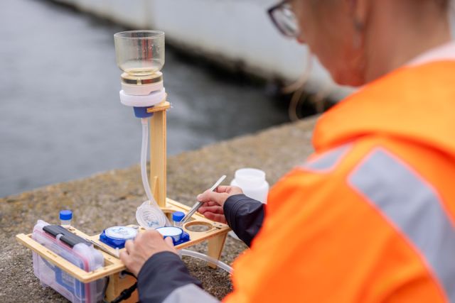 dr hab. Katarzyna Piwosz, prof. MIR-PIB, fot. Łukasz Bera