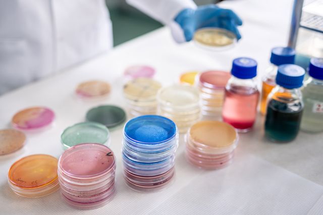 Dr Damian Rolbiecki, photo: Łukasz Bera