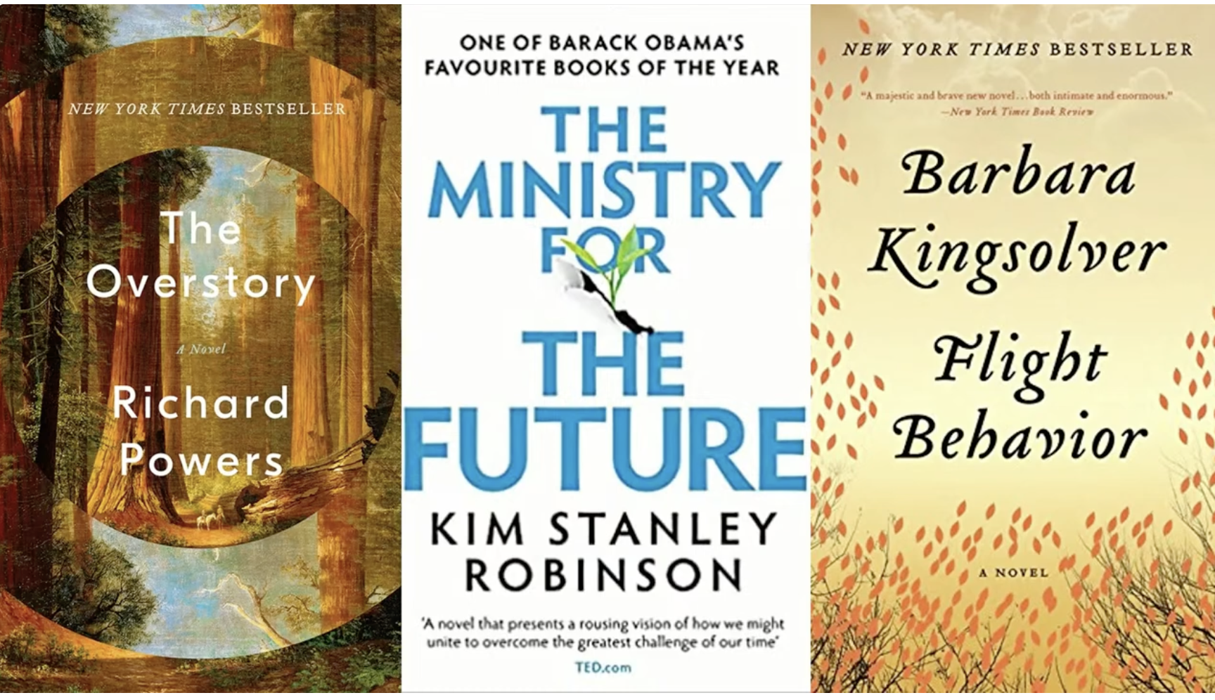 Covers of selected climate change novels