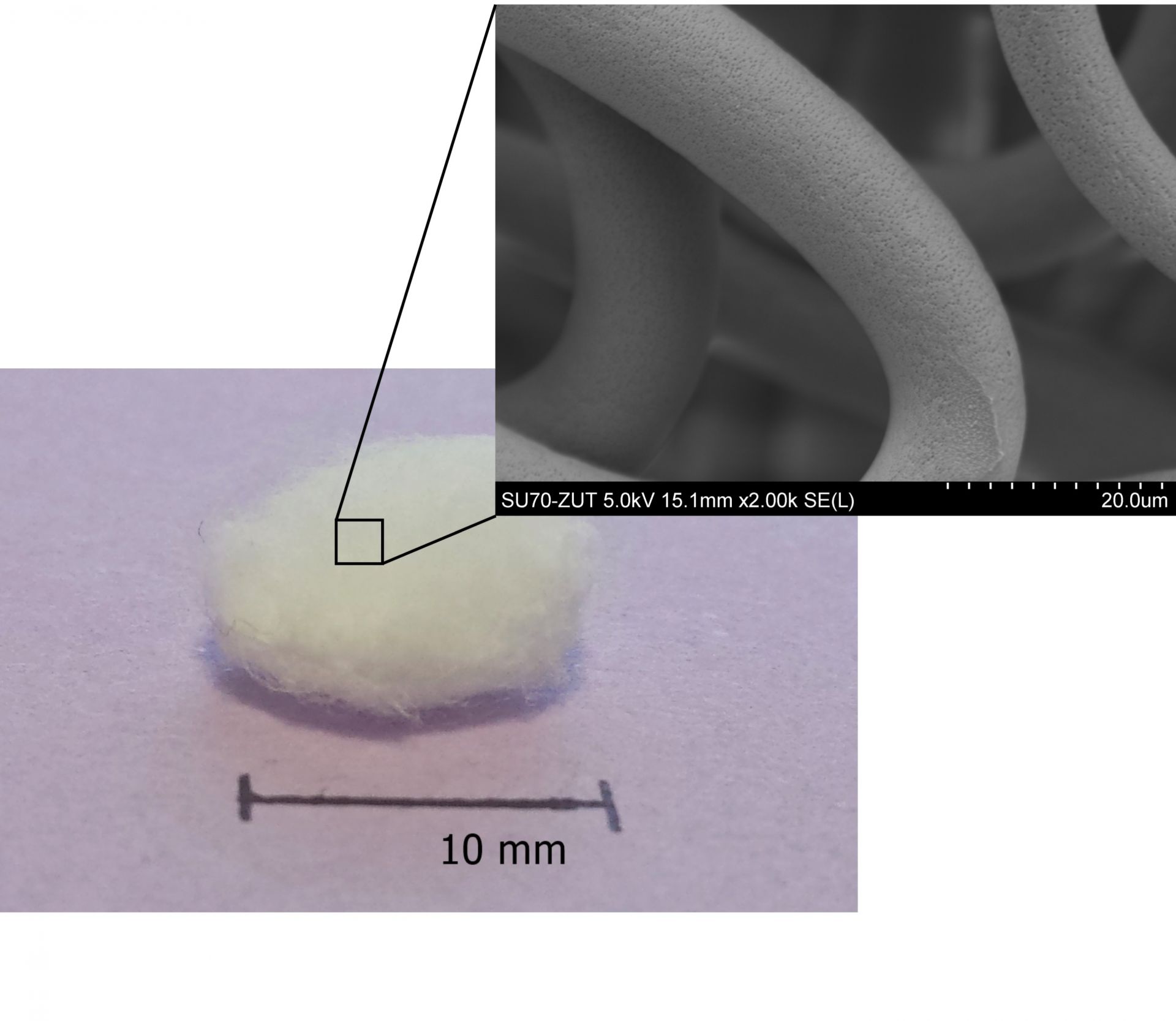 Macrophotograph of twisted and multidimensional polymer fibres synthesised with enzymes as catalysts; magnified SEM microphotograph of fibre porosity 