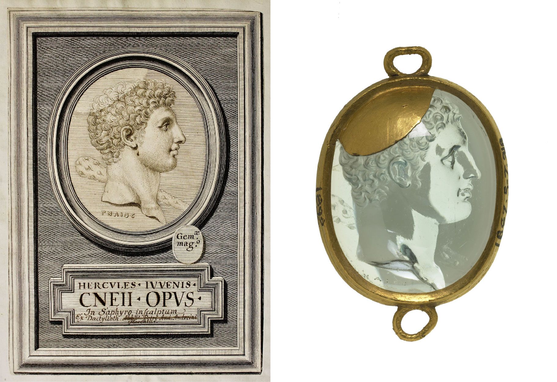 Po lewej: Girolamo Odam, Intaglio z głową młodego Herkulesa z maczugą, syg. GNAIOC, Muzeum Książąt Czartoryskich, nr inw.: MNK XV Rr. 3521, ok. 1715-1718, 268x187mm, © P. Gołyźniak. Po prawej: Intaglio z przedstawieniem głowy młodego Herkulesa z maczugą, syg. GNAIOC, Londyn, The British Museum, niebieski beryl (akwamaryn) intaglio, 24x20mm, 3 ćw. I w. p.n.e., ©The Trustees of the British Museum, CC BY-NC-SA 4.0;