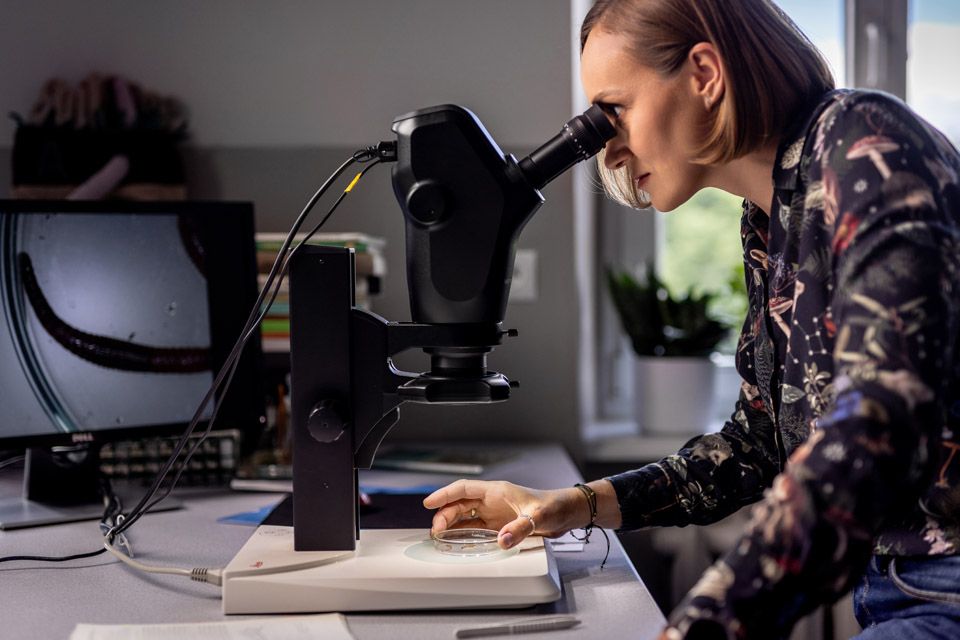 prof. dr hab. inż. Agnieszka Józefowska, fot. Łukasz Bera