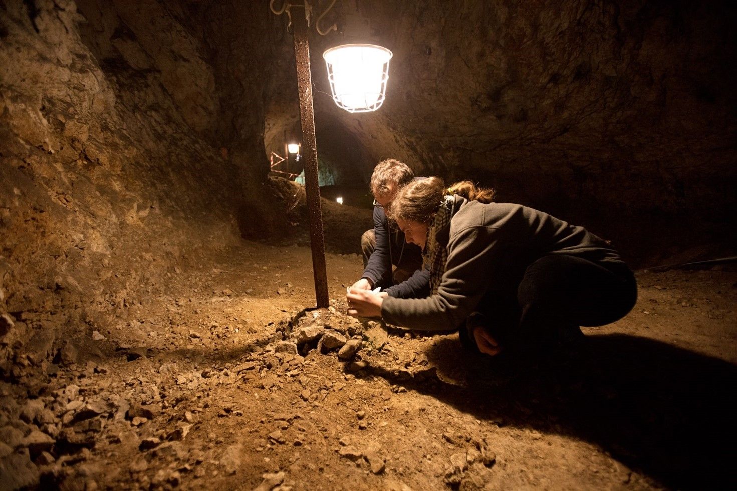 Collecting modern bird pellets for a comparative collection in Koziarnia Cave, Photo: Miron Bogacki