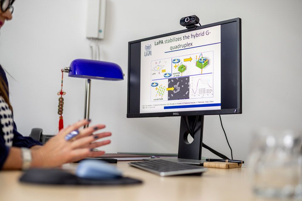 prof. dr hab. Violetta Patroniak