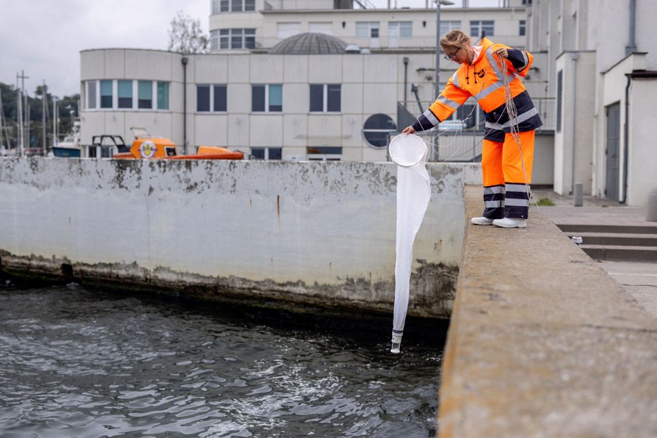 Dr hab. Katarzyna Piwosz, prof. MIR-PIB, photo: Łukasz Bera