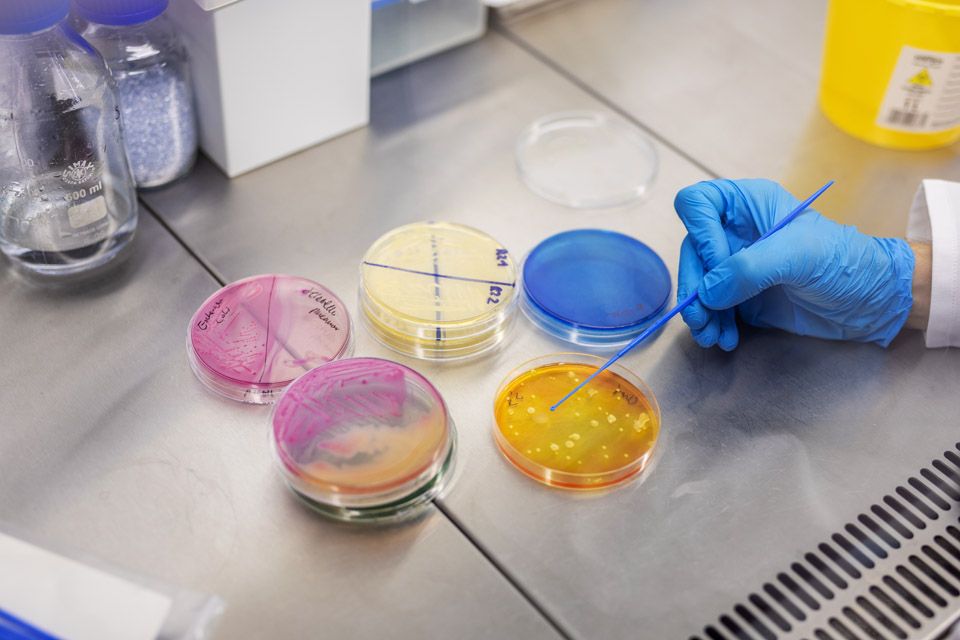 dr Damian Rolbiecki, fot. Łukasz Bera