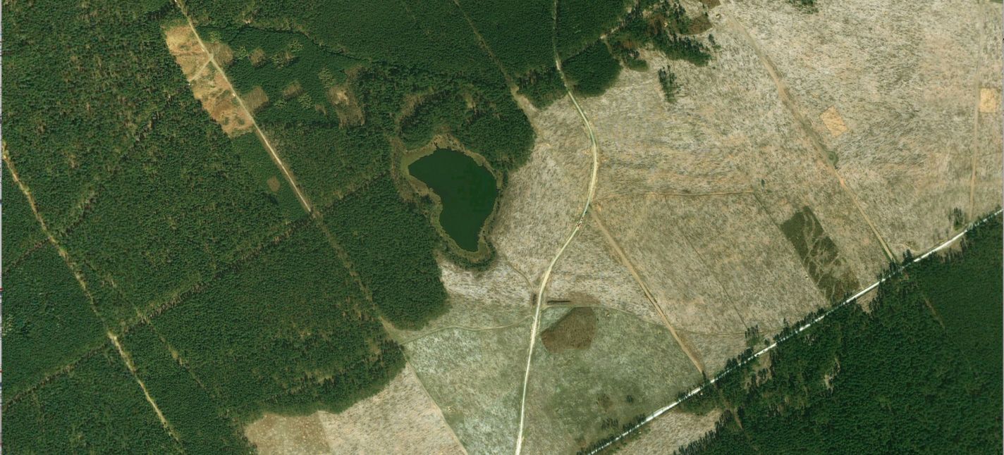 Odlesienie zlewni rezerwatu torfowiskowego „Martwe” w wyniku przejścia tornada w lipcu 2012 roku przez Bory Tucholskie (źródło: Google Earth). 