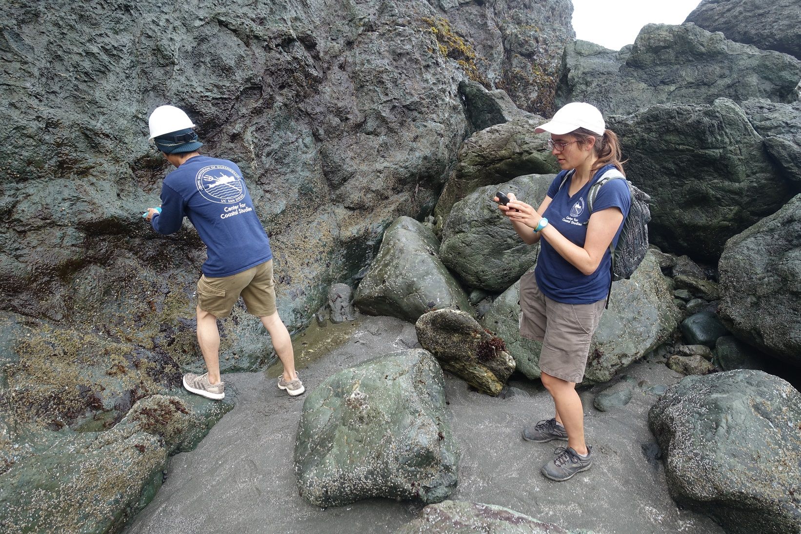 Measuring rock hardness with a Schmidt hammer, Trinidad, northern California.